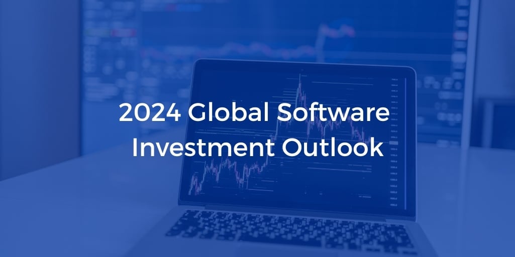 2024 Global Software Investment Outlook(2)